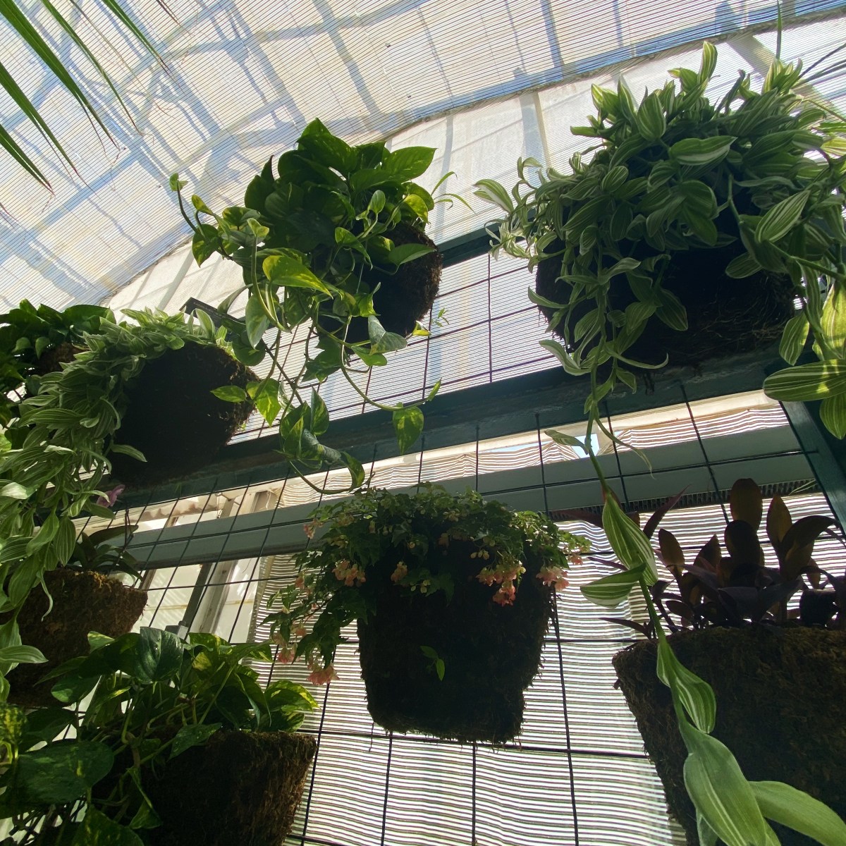 Breaking the Aesthetic